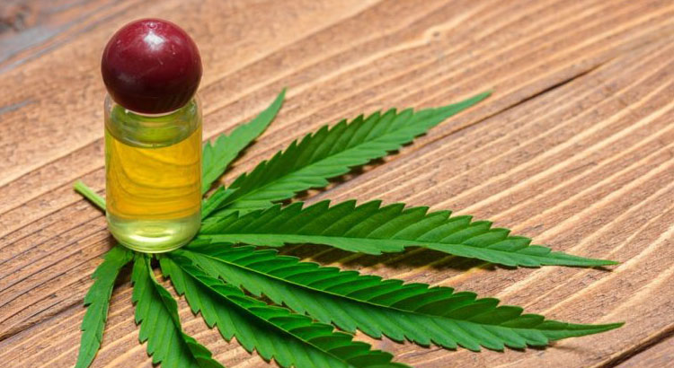 terpenes, essential oils, cannabis