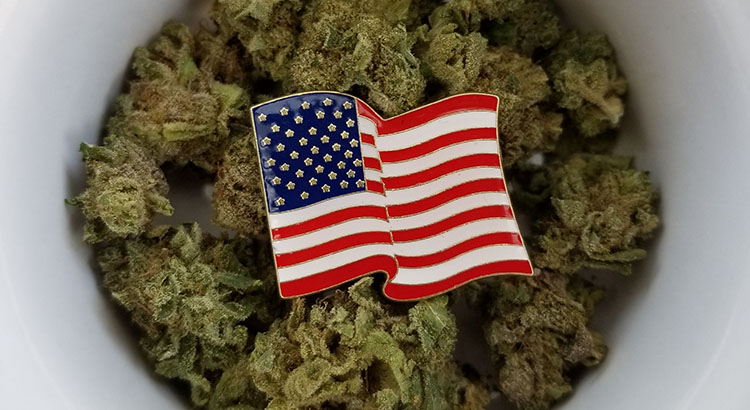 american flag pin on cannabis